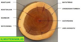 Ilmu Teknik Fungsi Dan Manfaat Bagian Bagian Kayu Dalam Proyek