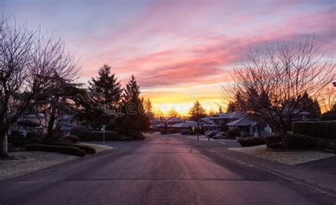 View of Residential Suburban Neighborhood Street in a Modern City Stock ...