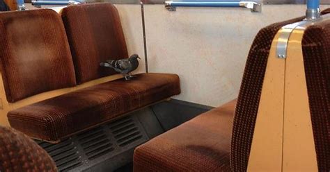 Why Fly When You Can Take The Train Imgur