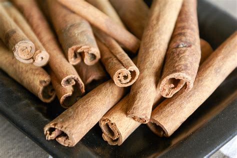 La cannelle - Tout sur la cannelle (Cinnamomum zeylanicum)