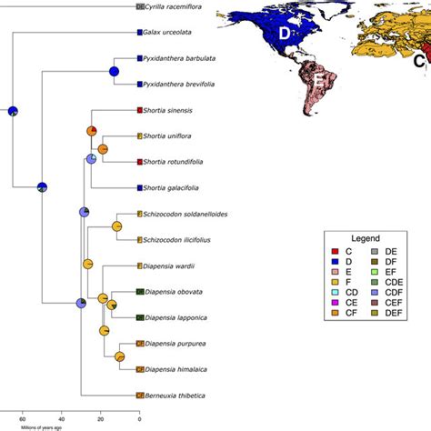 Ancestral Range Reconstruction From Biogeobears For Diapensiaceae