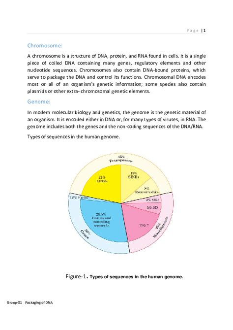 (PDF) Packaging of DNA