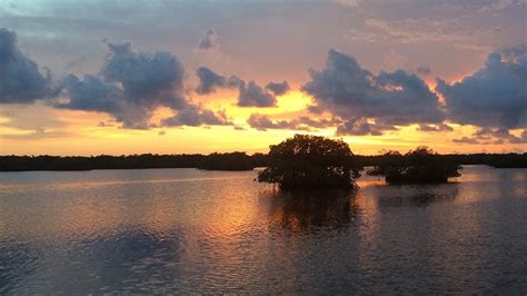 All About the Ten Thousand Islands – Chasin' Tales Fishing Charters