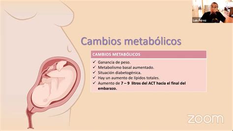 EN VIVO CLASE MAGISTRAL CAMBIOS FISIOLÓGICOS DE LA EMBARAZADA YouTube