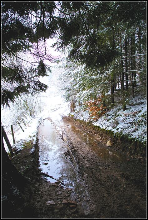 La Neige Ardennes Alain Koninckx Flickr