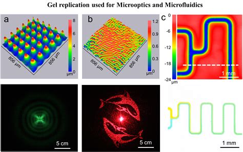 Generation Of Precision Reconfigurable Micromolds For High Resolution