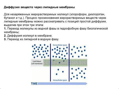 Токсикокинетика ядов - презентация онлайн