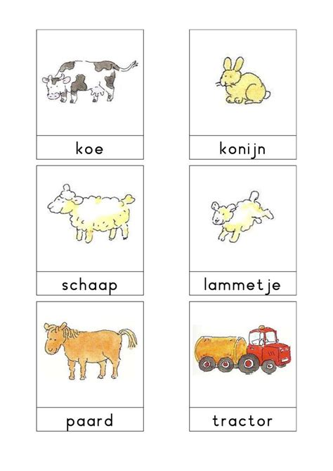 Pin Van Juf Petra Op Thema Boerderij Kleuters Farm Theme Preschool