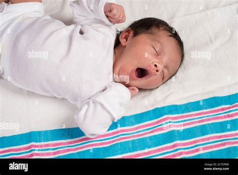 Reflex yawning hi-res stock photography and images - Alamy