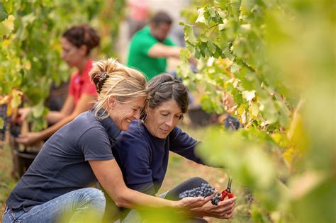 Visite Ch Teau Croix De Labrie Bordeaux