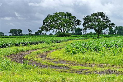 Rural Beauty Photograph By Gary Richards Fine Art America