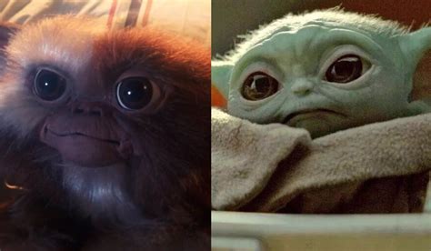 Gizmo Vs Baby Yoda Qui N Es M S Adorable