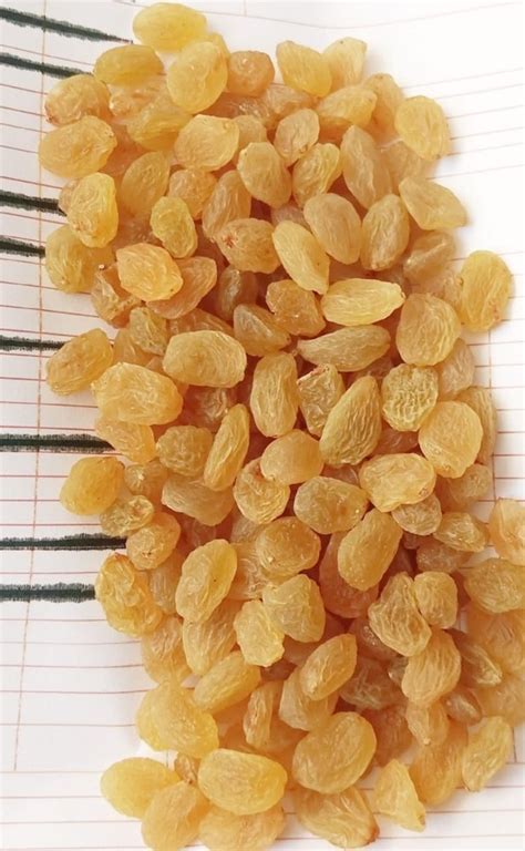 Yellow Raisin At Rs 200 Kilogram Yellow Raisins In Sangli ID