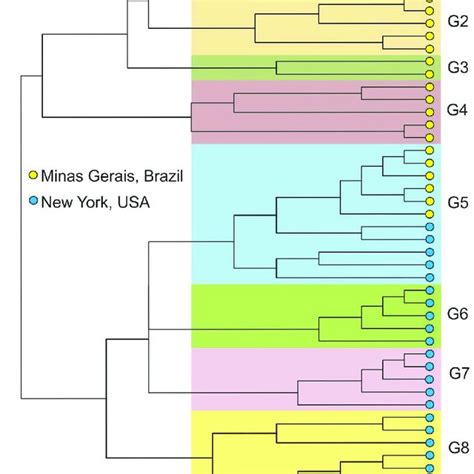 Hierarchical Cluster Analysis According To Complete Linkage Method From