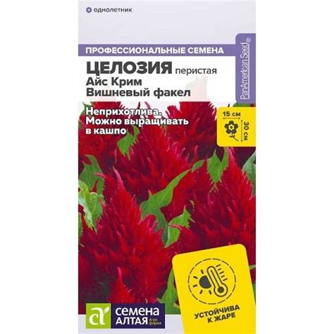 Целозия Айс Крим Вишневый факел перистая (Семена Алтая) купить с ...