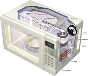 Sar Vero Che Il Forno A Microonde Fa Male