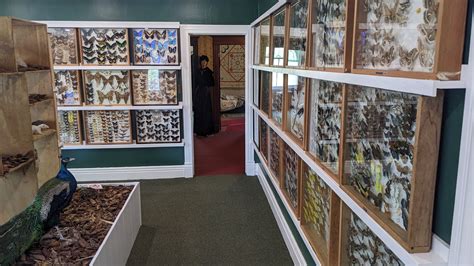 Collection of over 5000 insects. Museum at Souris, MB : r/insects