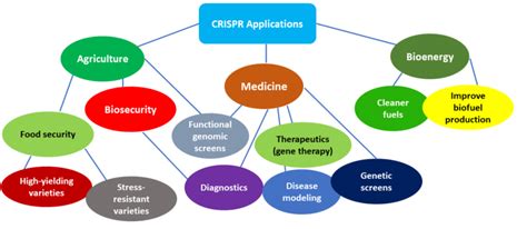 Applications of CRISPR/Cas machinery. (A higher resolution / colour ...