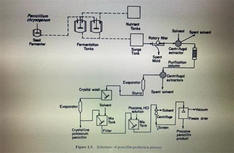 Schematic Diagram Of Penicillin Production Penicillin Histo