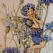 Flower Fairy Mounted Vintage Print Winter Jasmine Fairy Cicely Mary