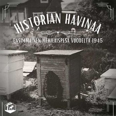 Historian Havinaa Juttusarja Sosiaalisessa Mediassa