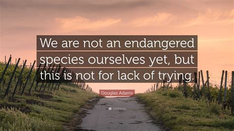 Douglas Adams Quote: “We are not an endangered species ourselves yet