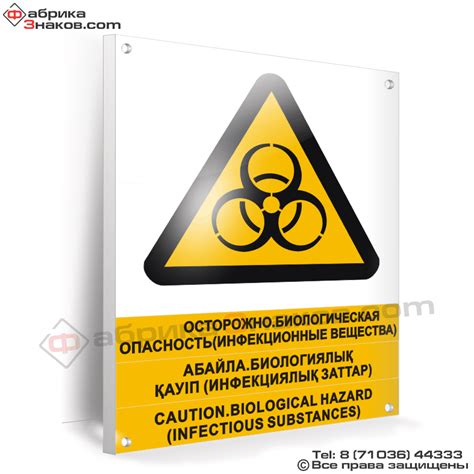 Класс инфекционной опасности