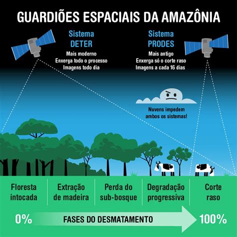 Como funciona o monitoramento das florestas via satélite Florestal