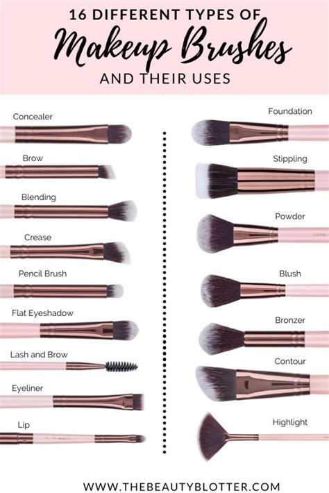 The Complete List Of Makeup Brushes And Their Uses The Beauty Blotter