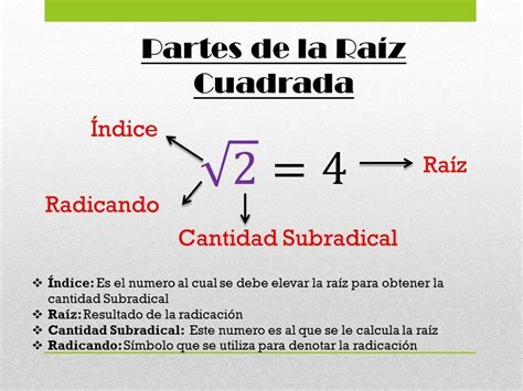 C El Nombre Del Símbolo Utilizado En La Radicación Brainly Lat