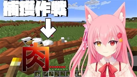 【マイクラ】お肉が食べたいので牧場作る【minecraft】【新人vtuber】 マイクラ（minecraft）動画まとめ