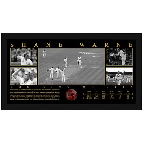 Cricket - Shane Warne Signed & Framed Deluxe Cricket Ball Display ...