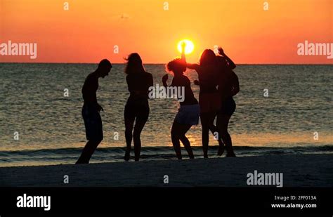 Silhouette Beach Party Stock Videos And Footage Hd And 4k Video Clips