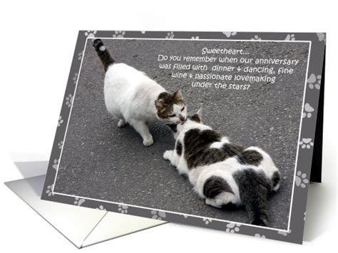 Humorous Cat Anniversary Cards For Husband Paper Card 493528