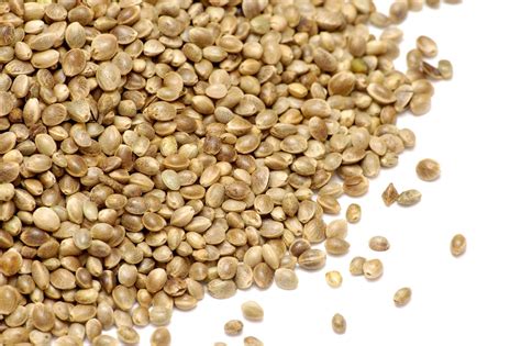 Hemp | Description, Products, Seeds, Fiber, & Uses | Britannica
