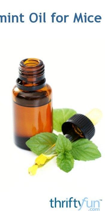 Using Peppermint Oil for Mice Control | Peppermint oil for mice ...