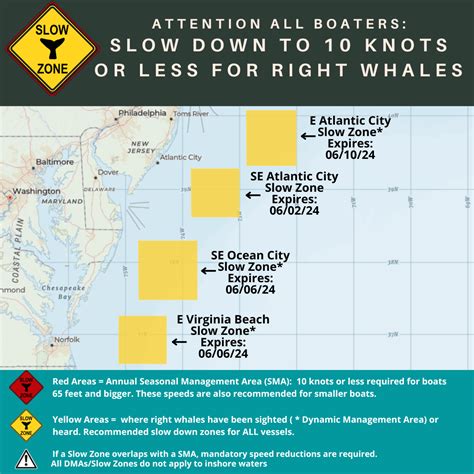 NOAA creates temporary slow zones to help whales