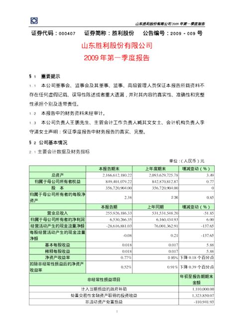 胜利股份：2009年第一季度报告