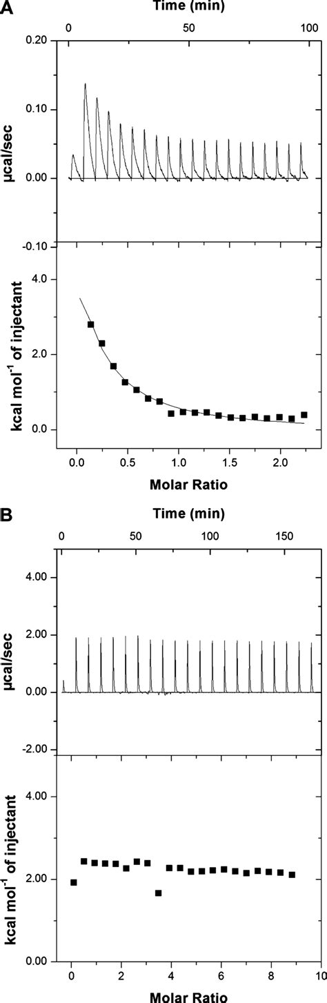 Representative ITC titration curves and binding isotherms of dTTP (A ... 