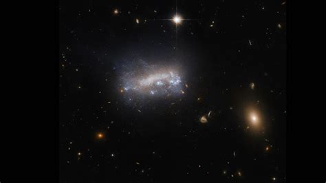 Nasa Hubble Space Telescope Captures Dwarf Galaxy In Virgo Cluster 52