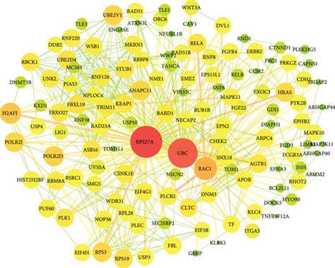 A The Protein Protein Interaction Ppi Analysis Of Target Gene Of