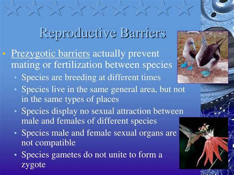 Ppt The Origin Of Species Powerpoint Presentation Free Download Id 1757843