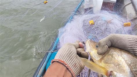 Pesca En El Pacifico Colombiano Youtube