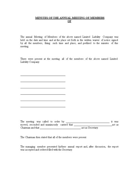 Llc Member Meeting Minutes Template