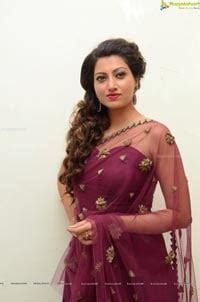 Photos Hamsa Nandini At Bengal Tiger Audio Release