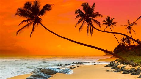 Sri Lanka Beach Wallpaper