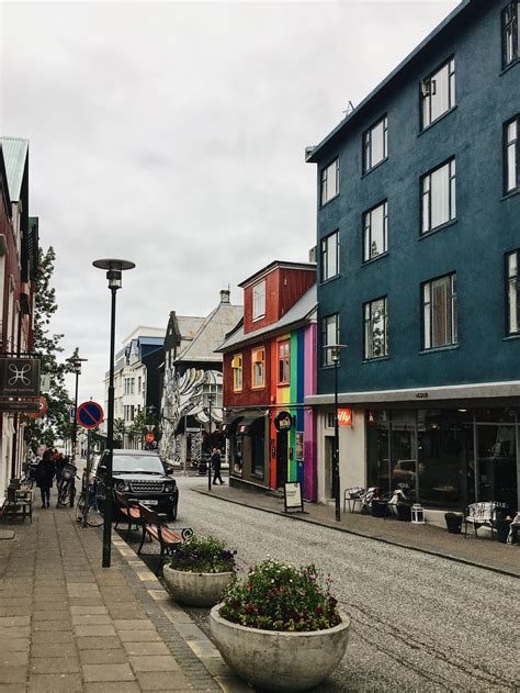 24 hours in Reykjavik – city guide – Too Many Plants Blog