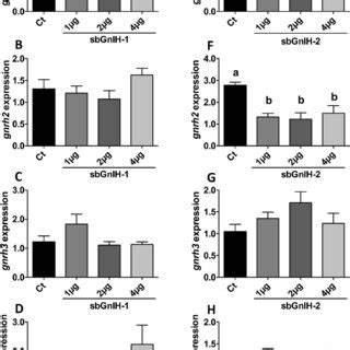 Effect Of In Vivo Intracerebroventricular Icv Injection Of Different