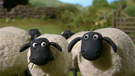 Watch Shaun the Sheep Online | Stream Seasons 1-5 Now | Stan