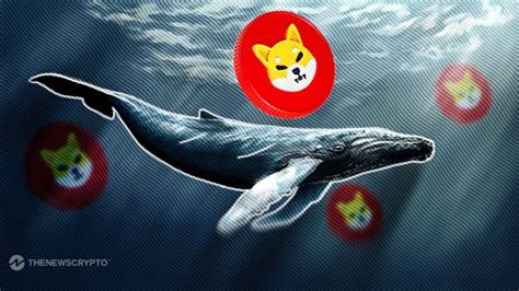 Shiba Inu SHIB Becomes The Go To Token For Top Ethereum Whales